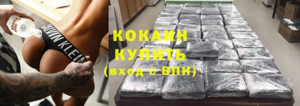 шишки Михайлов