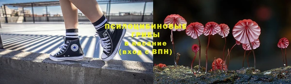 шишки Михайлов