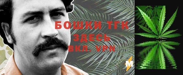 шишки Михайлов