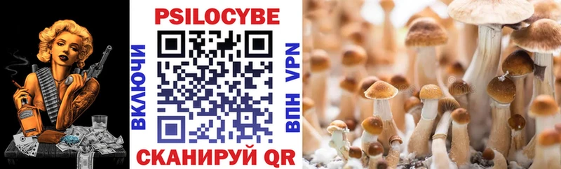 где можно купить наркотик МЕГА рабочий сайт Галлюциногенные грибы GOLDEN TEACHER Ковров