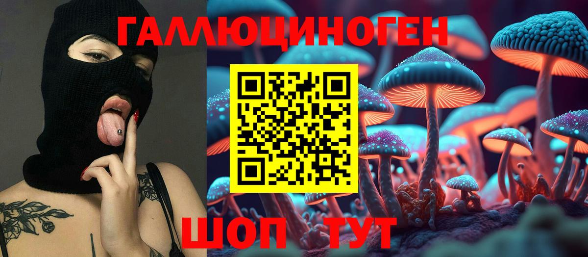 Псилоцибиновые грибы Cubensis  Вход с VPN  Ковров 