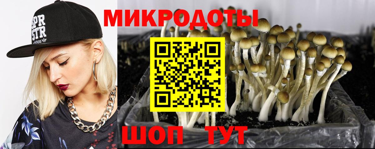 Галлюциногенные грибы Cubensis Ковров